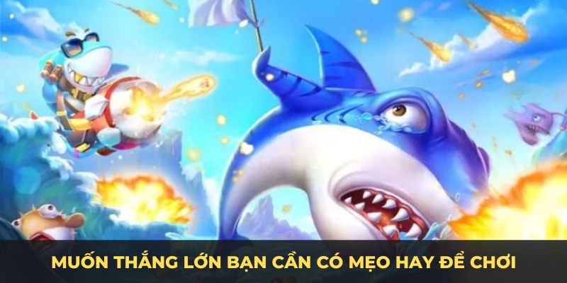 Muốn thắng lớn bạn cần có mẹo hay để chơi